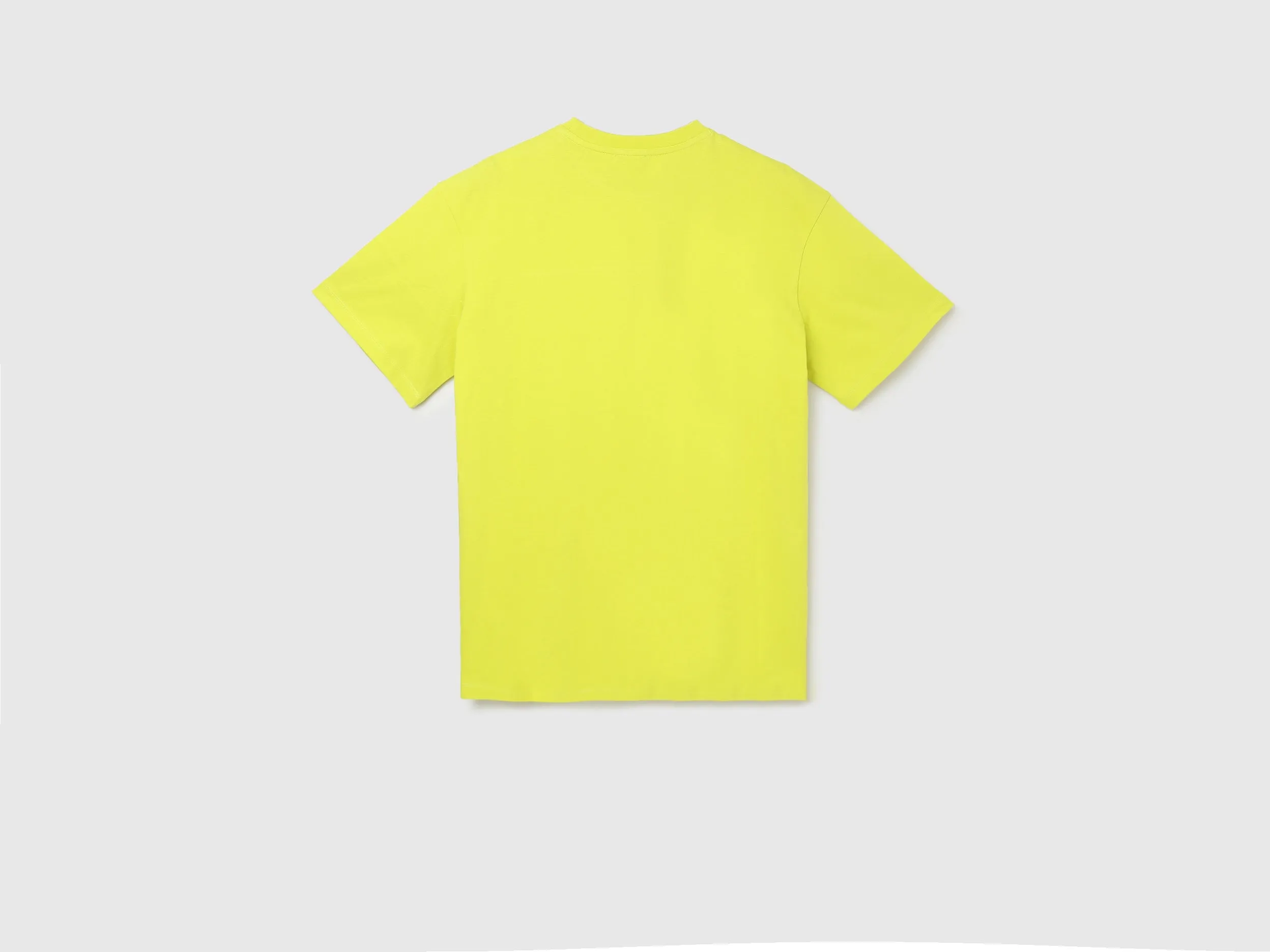 Regular Fit Crew Neck Printed Women's T-Shirt