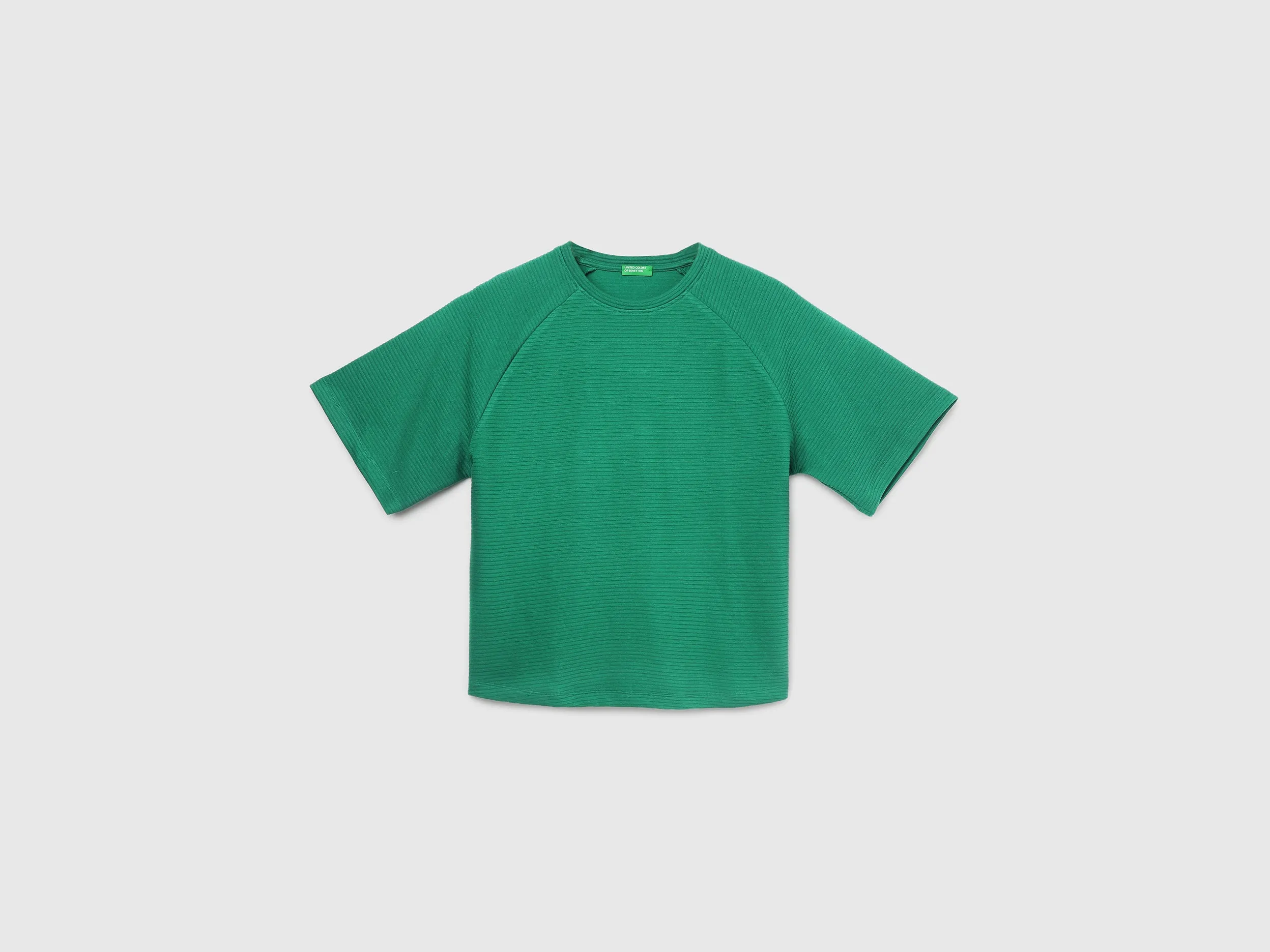Regular Fit Crew Neck Ribbed Women's T-Shirt