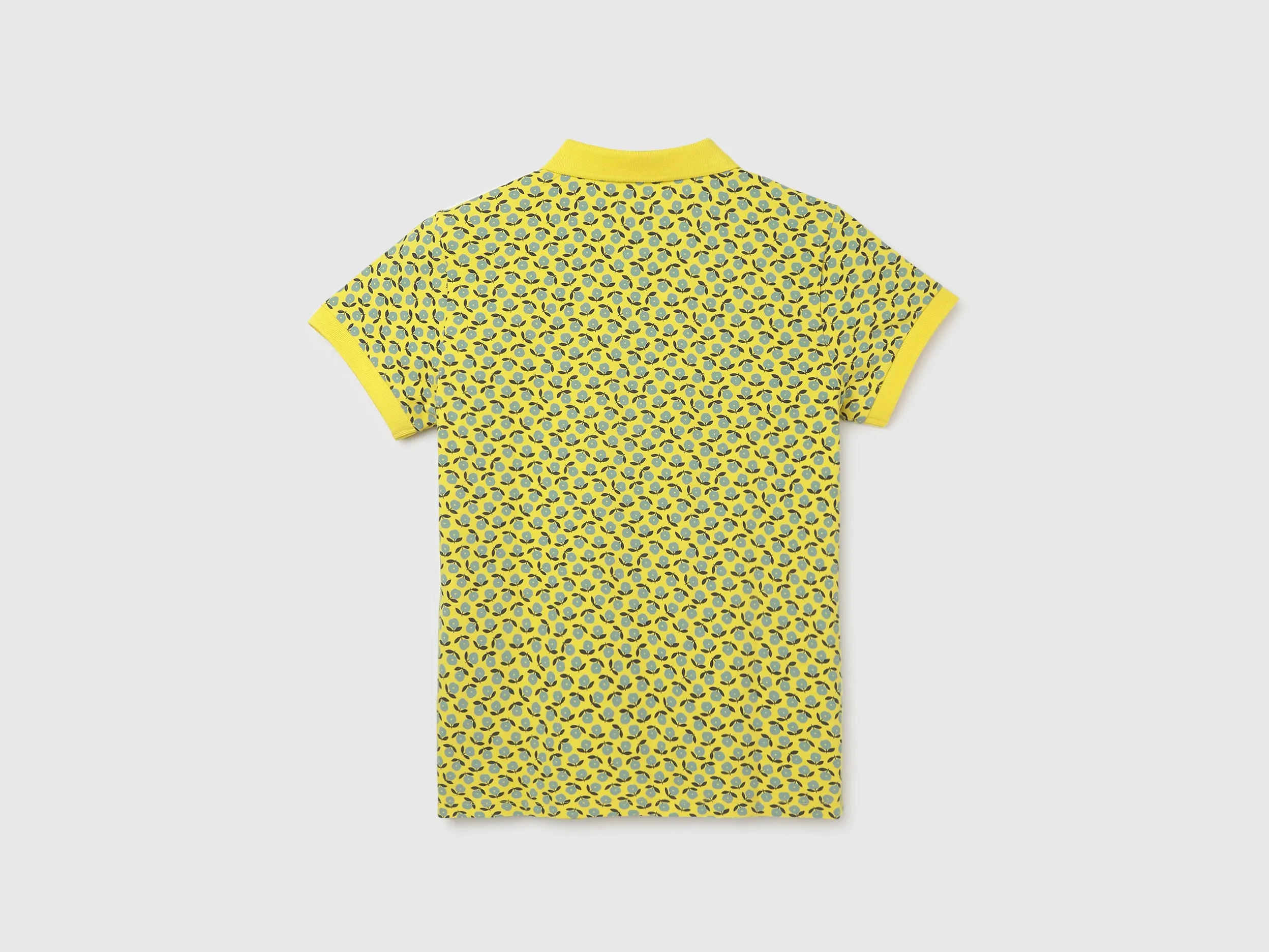 Regular Fit Polo Neck Printed Women's T-Shirt